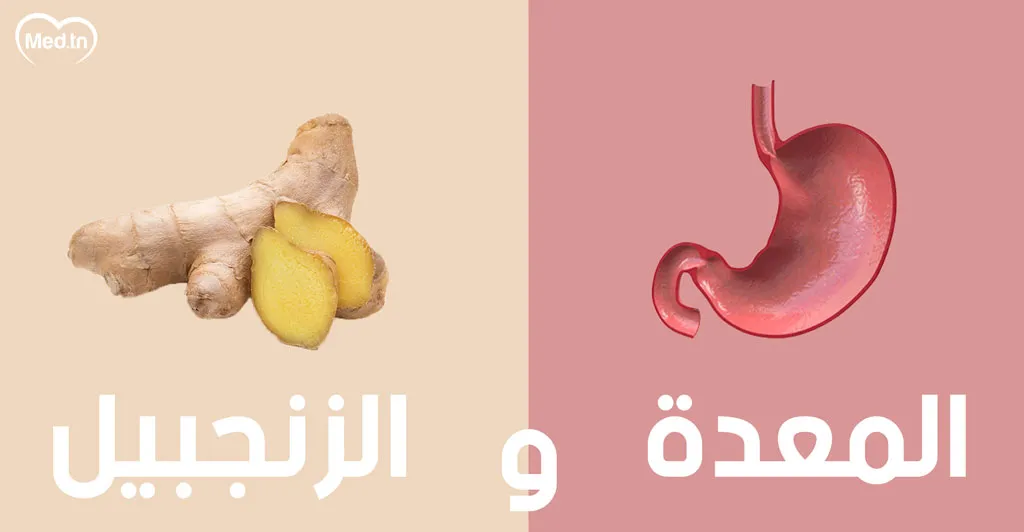  أطعمة تشبه أعضاء الجسم و مفيدة لها... تعرف عليها